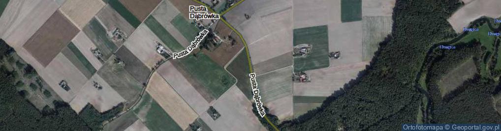 Zdjęcie satelitarne Pusta Dąbrówka ul.
